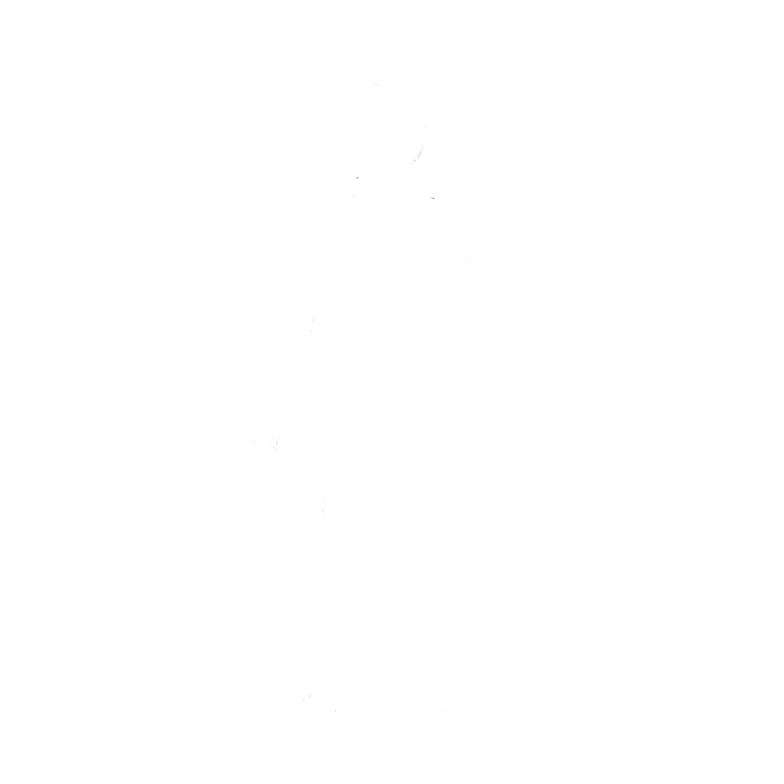 Le corps